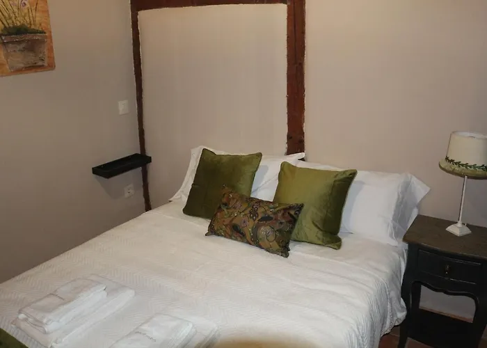 Apartamentos Coliseo
